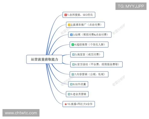 深入分析西安羽毛球队独特的防守策略与战术执行